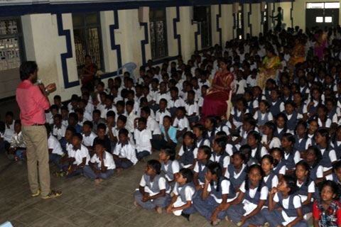 Volunteer Activity