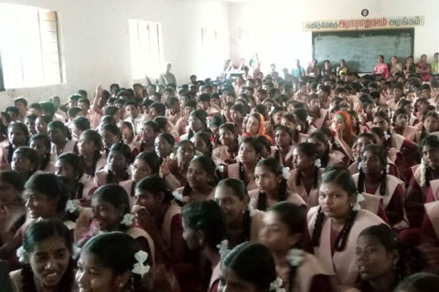 Volunteer Activity